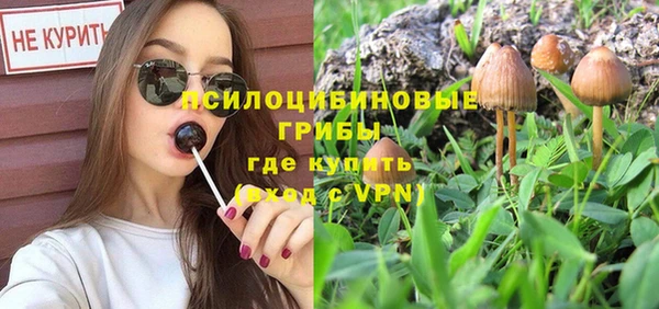 прущий лед Армянск