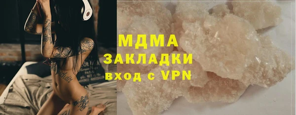 индика Аркадак