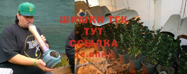 индика Аркадак