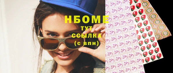 индика Аркадак