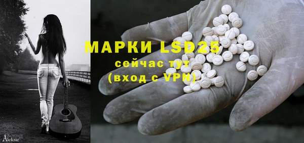 индика Аркадак