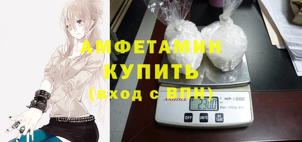 индика Балабаново