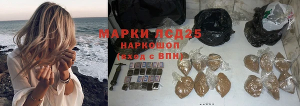 индика Аркадак