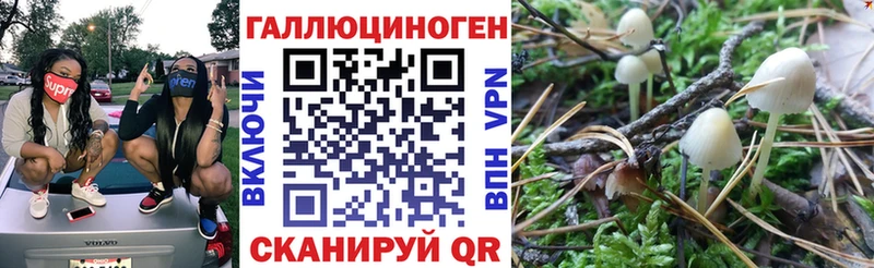 Псилоцибиновые грибы ЛСД  Красково 